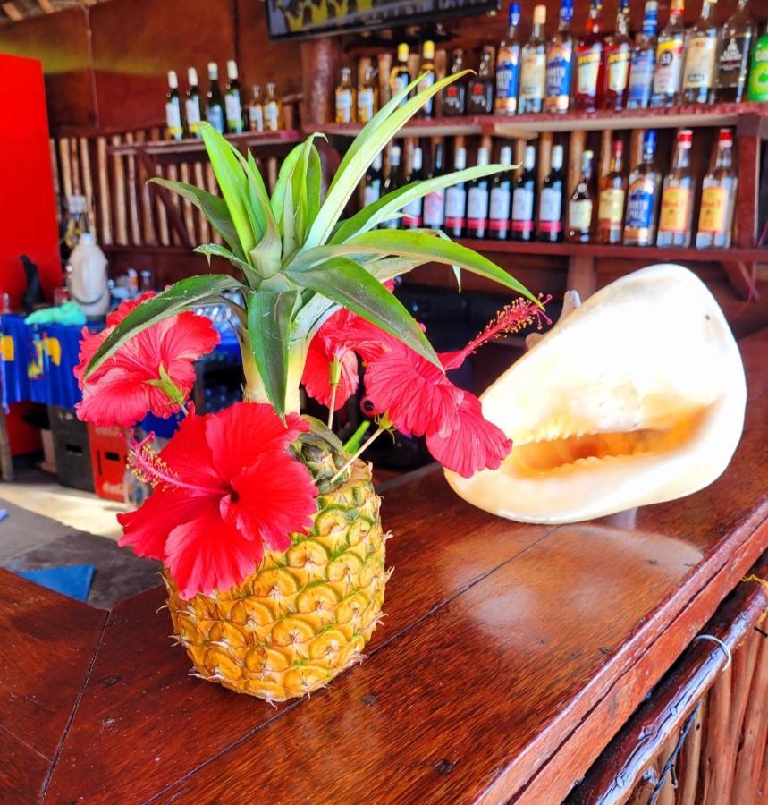 Sipano Beach Lodge Kiwengwa Кивенга Екстериор снимка