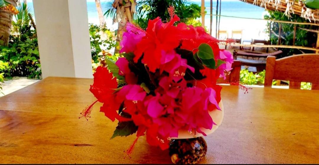 Sipano Beach Lodge Kiwengwa Кивенга Екстериор снимка