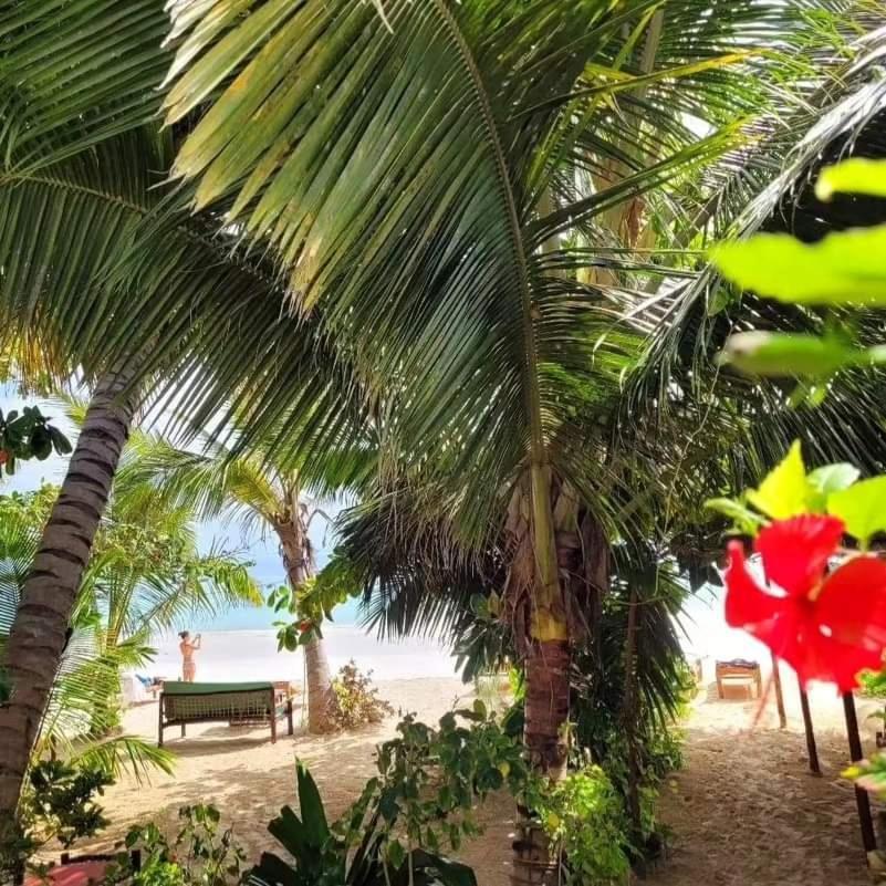 Sipano Beach Lodge Kiwengwa Кивенга Екстериор снимка